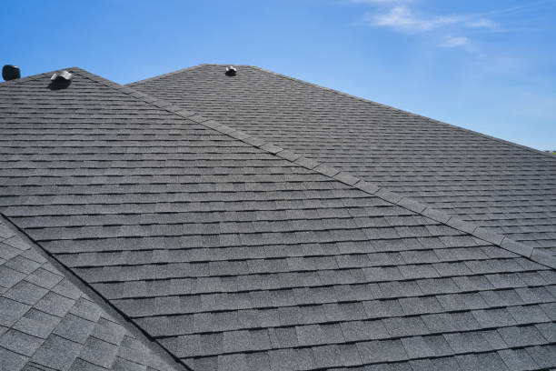 Best Solar Panel Roofing Installation  in Madison Heights, VA